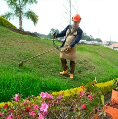 Curso mantenimiento de Jardines y Prados Sena
