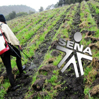 Fertilización de suelos y cultivos Sena