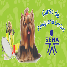 Curso de peluqueria canina Sena