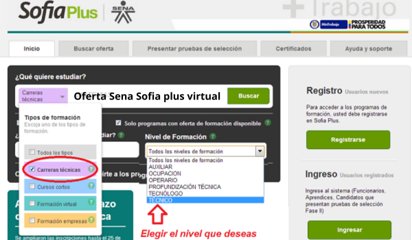 Oferta Sena Sofia plus virtual